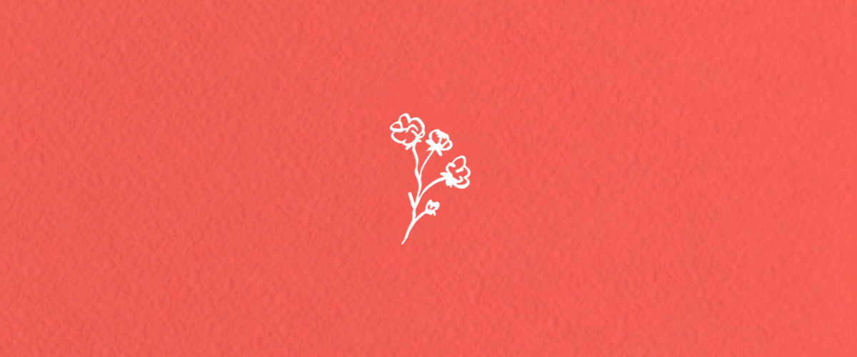 Lancement du livre Je te chuchote le printemps